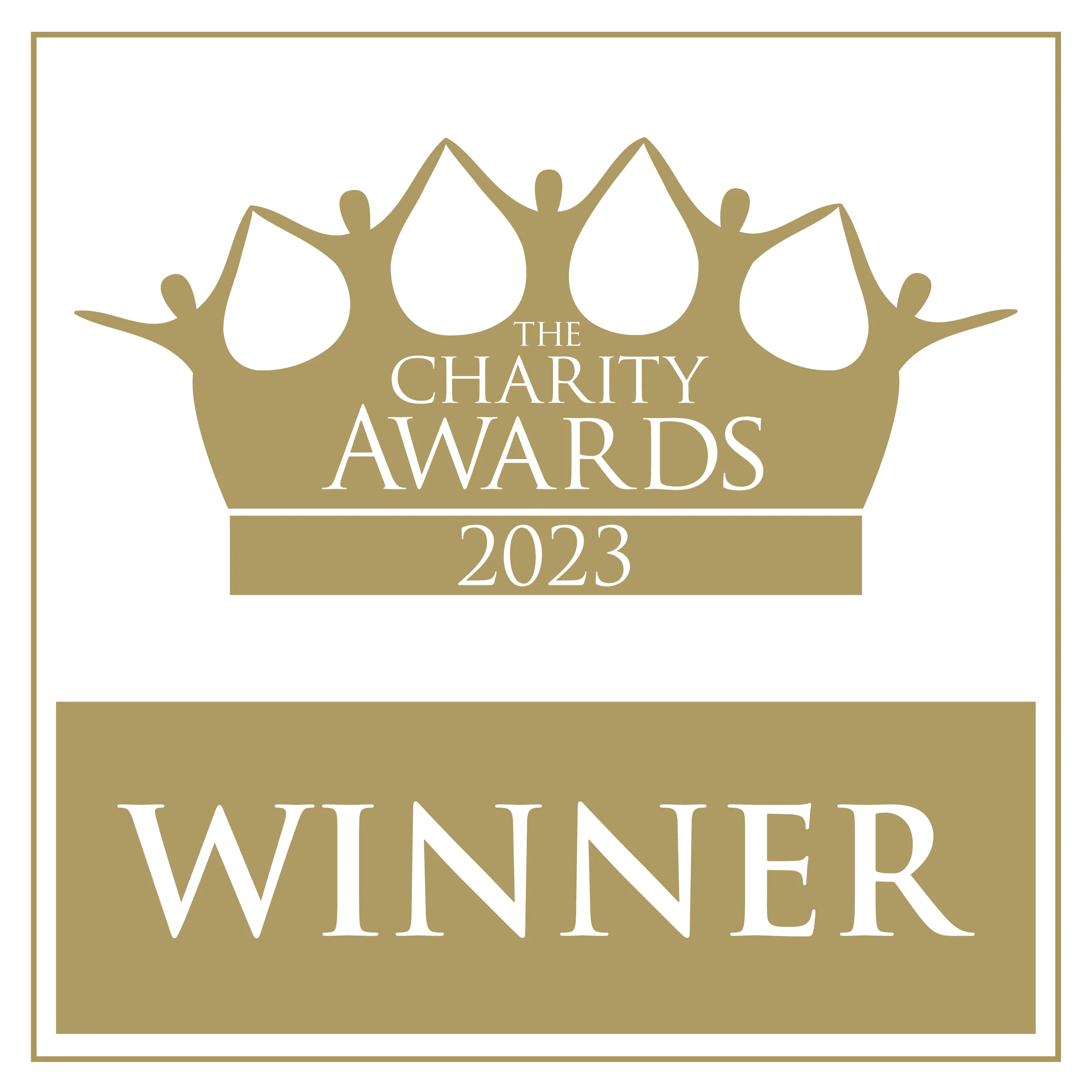The Charity Awards 2023 Winner badge