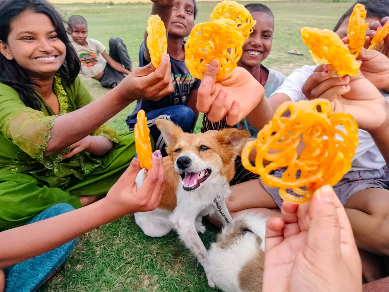 More Than Crisis Response Smiling girls offering orange jalebi sweets to a puppy