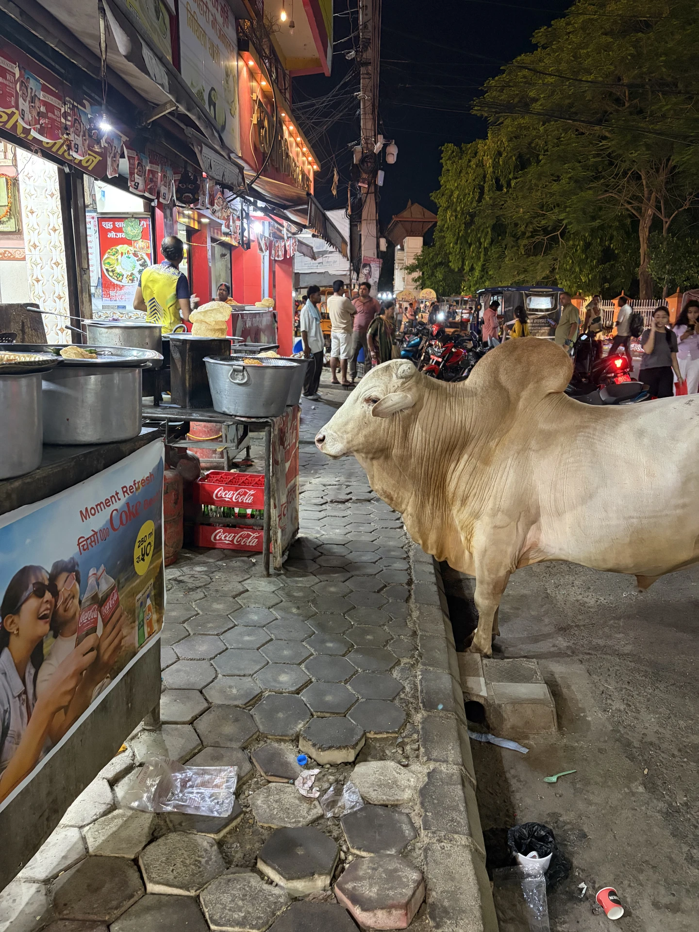Thoughts on Janakpur Cow standing beside a food stall on a street at night in Janakpur