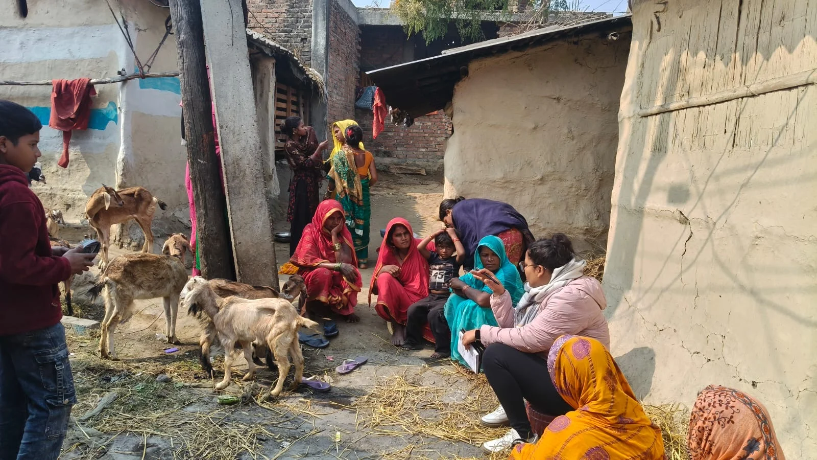 Villagers and goats outside a mud-brick home in a Nepali village